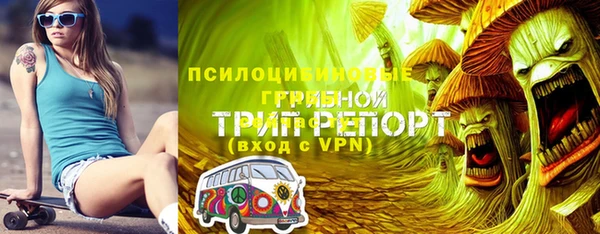 apvp Богородицк