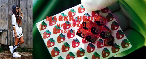 apvp Богородицк