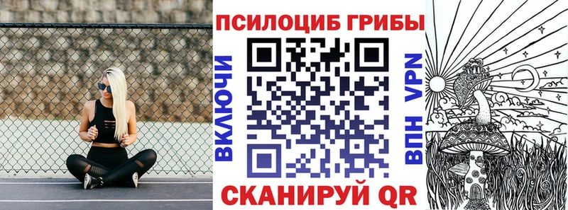 Псилоцибиновые грибы GOLDEN TEACHER  Купить  Спасск-Рязанский 